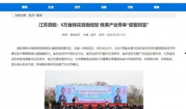 泗阳最新爆料新闻事件,惊曝某重大事件引发社会关注