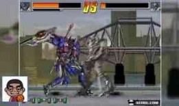 金刚哥被爆料视频播放全集,真相与争议交织